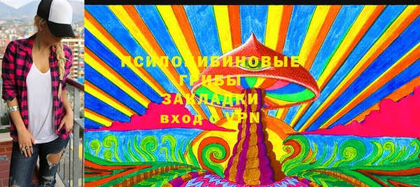 ПСИЛОЦИБИНОВЫЕ ГРИБЫ Нефтекумск