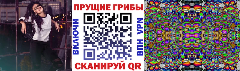 Псилоцибиновые грибы Cubensis  Скопин 